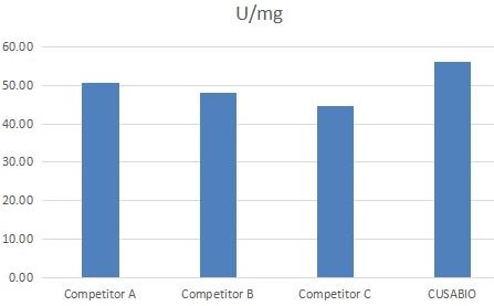 Proteinase K Recombinant Protein